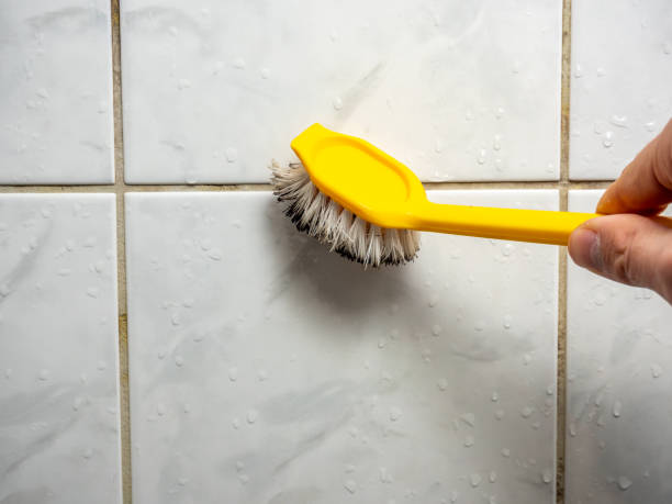 Reliable Forest Oaks, NC Mold Removal Solutions