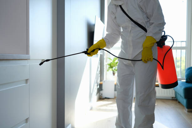 Best Mold Removal Company Near Me  in Forest Oaks, NC