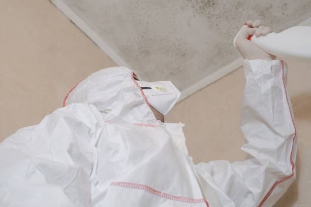 Best Toxic Mold Removal  in Forest Oaks, NC