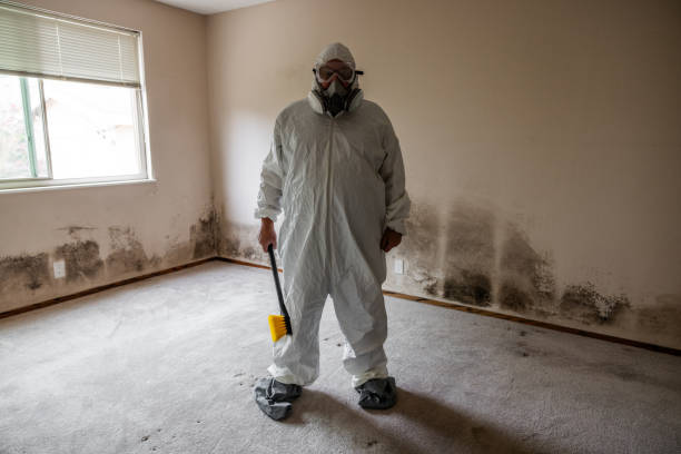 Best Professional Mold Removal  in Forest Oaks, NC